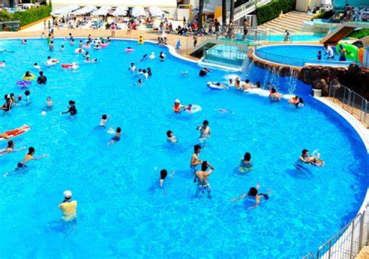 ひらかたパークの夏のプールをイメージした写真
